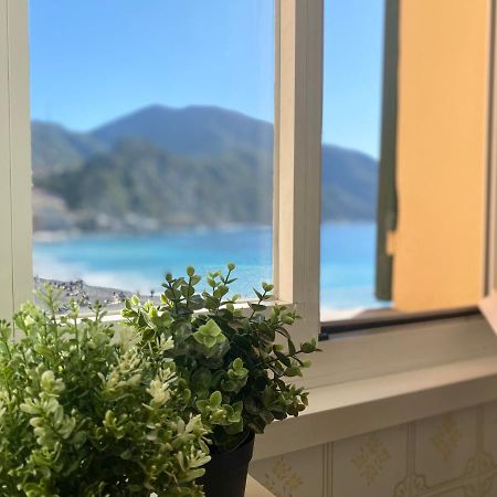 Casaviva - Sweet Bilo On The Sea In Camogli Διαμέρισμα Εξωτερικό φωτογραφία